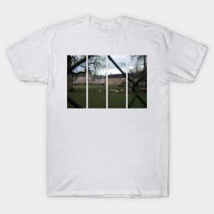 The castle of Pierre-de-Bresse is a 17th-century castle in the Bourgogne-Franche-Comte. Cloudy winter day T-Shirt